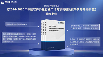 中國軟件外包行業投資前景分析與未來發展趨勢研究報告