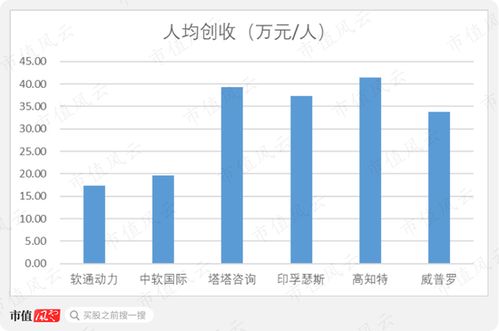 軟通動力 私有化后的曲折上市路，軟件外包巨頭能否借注冊制圓夢？